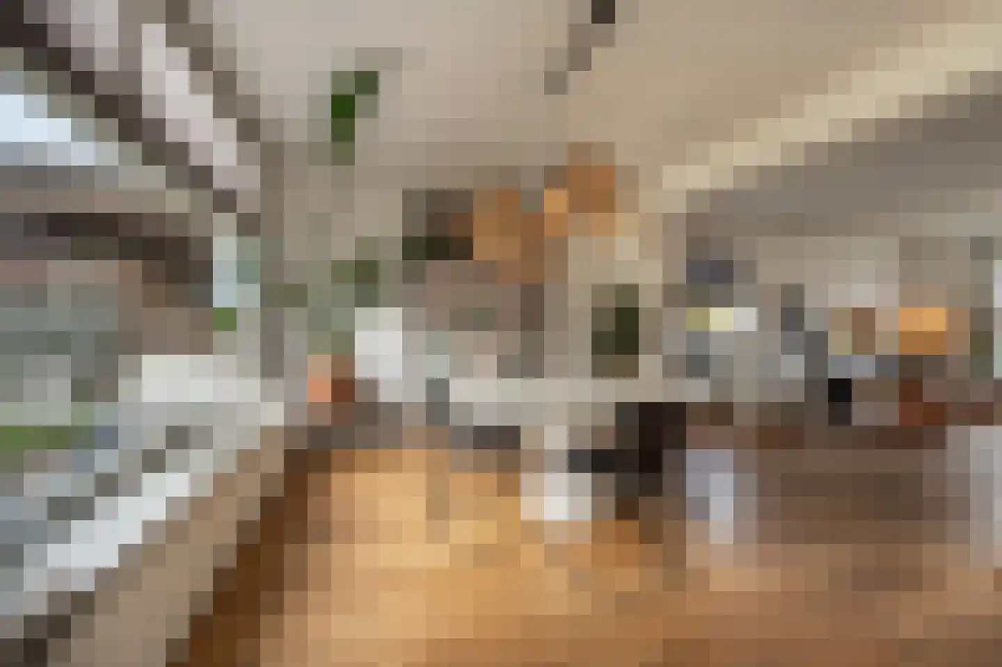 van Koetsveldlaan 11 Westmaas thumbnail 7