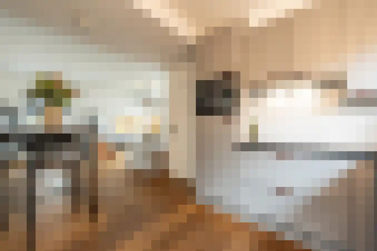 van Koetsveldlaan 11 Westmaas thumbnail 8