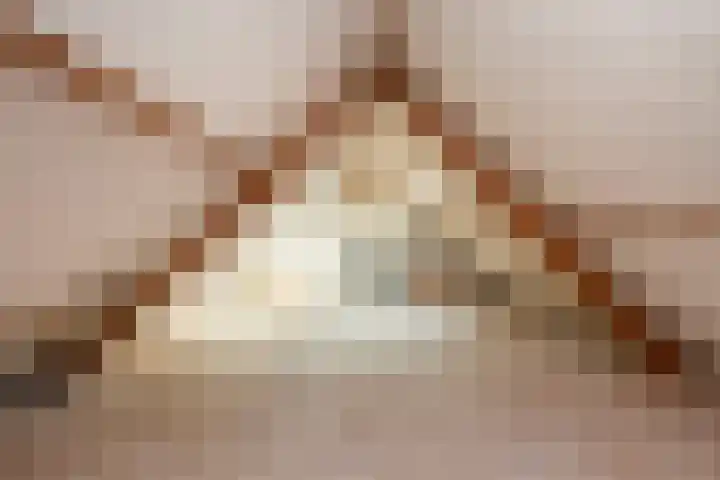 Van Koetsveldstraat 10 Utrecht thumbnail 30