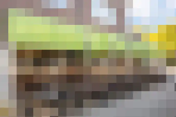 Van Koetsveldstraat 10 Utrecht thumbnail 34