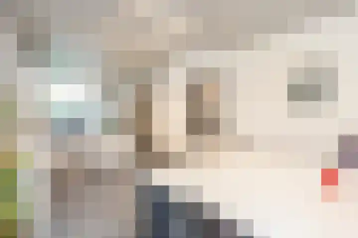 Van Koetsveldstraat 10 Utrecht thumbnail 5