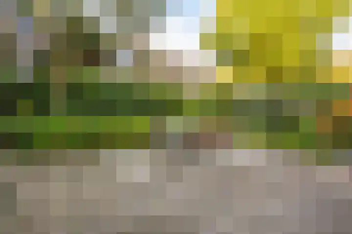 Van Koetsveldstraat 10 Utrecht thumbnail 8
