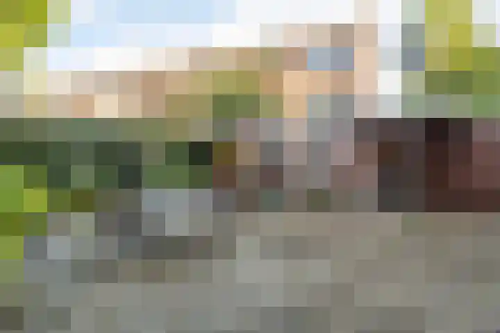 Van Koetsveldstraat 10 Utrecht thumbnail 9