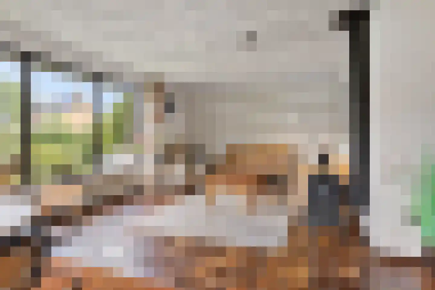 van Koetsveldstraat 12 Hengelo thumbnail 12