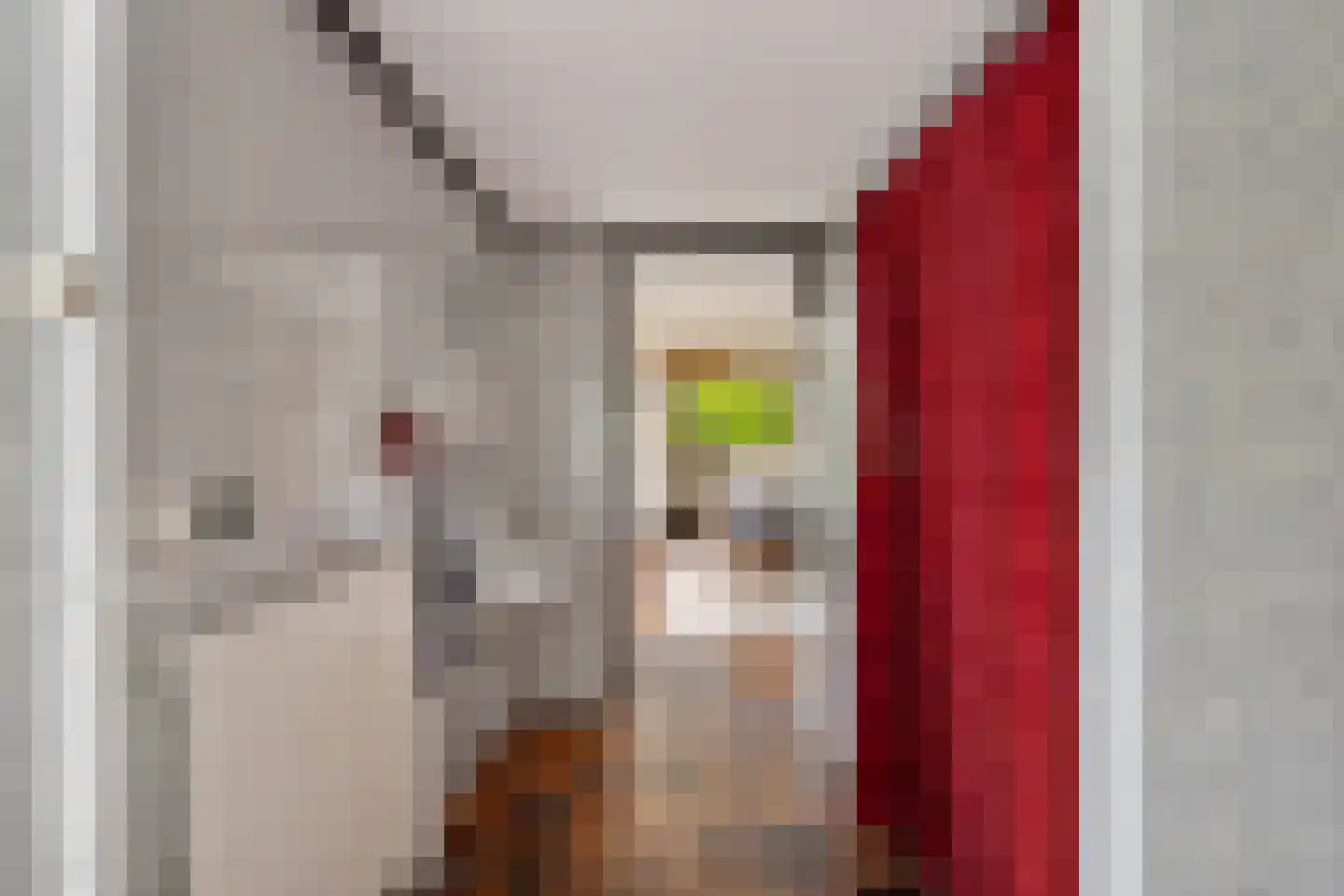 van Koetsveldstraat 12 Hengelo thumbnail 18