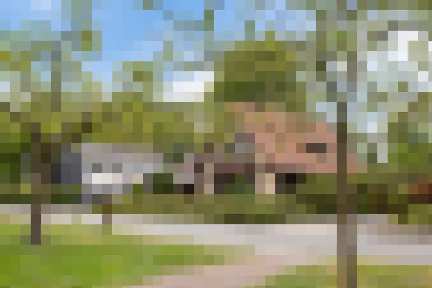 van Koetsveldstraat 12 Hengelo thumbnail 29
