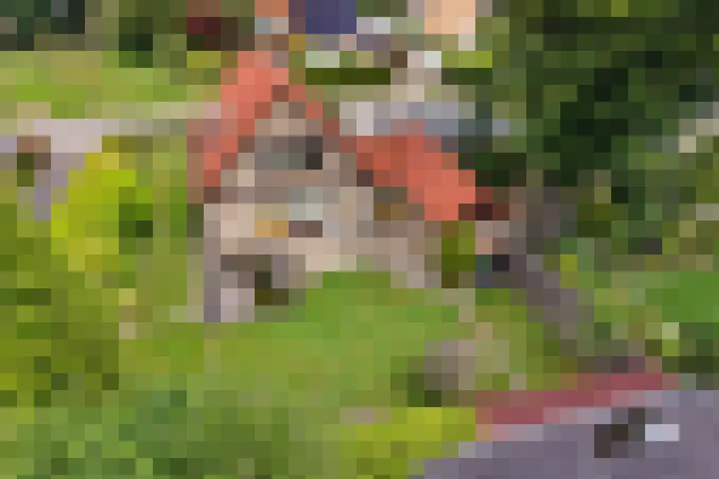van Koetsveldstraat 12 Hengelo thumbnail 30
