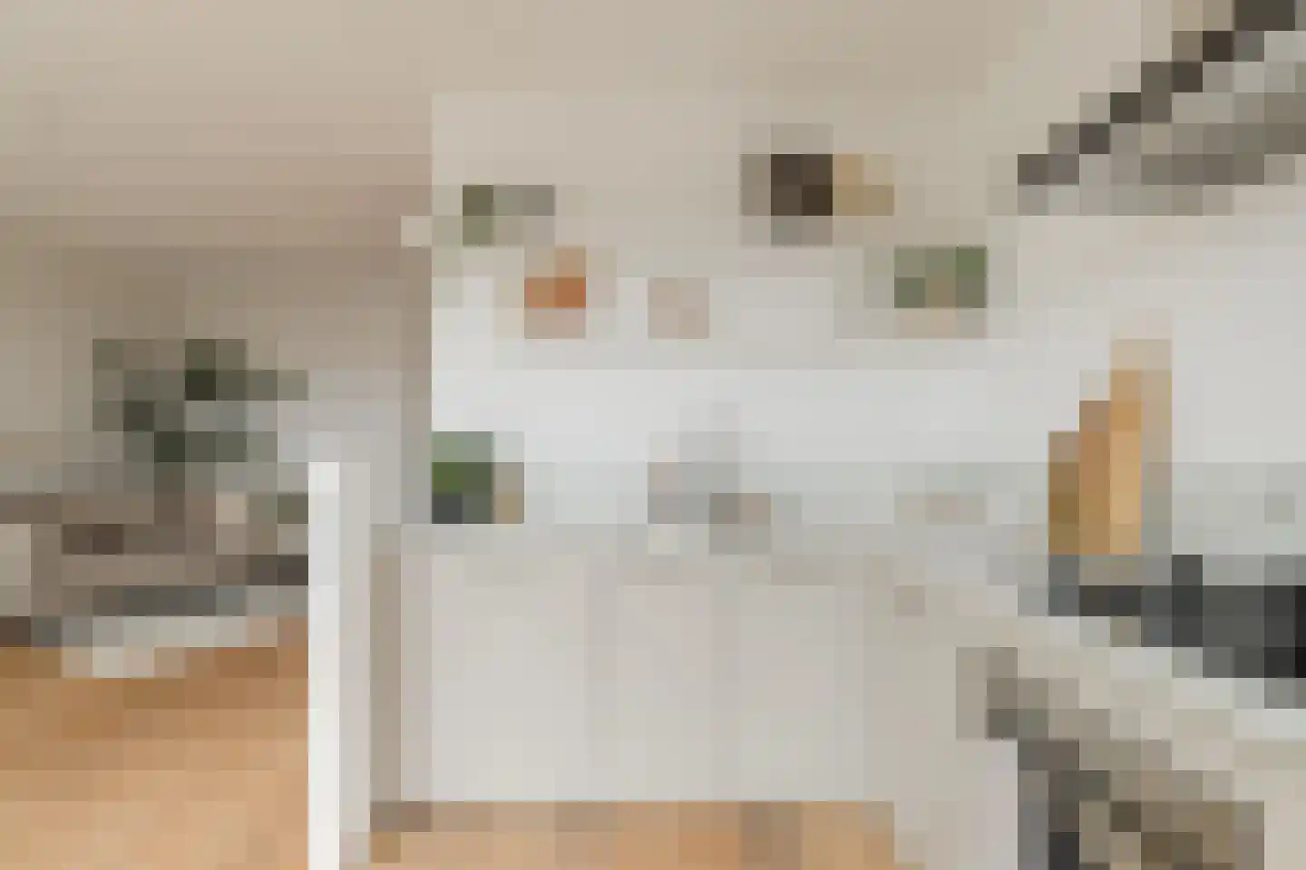 Van Koetsveldstraat 122 Utrecht thumbnail 8