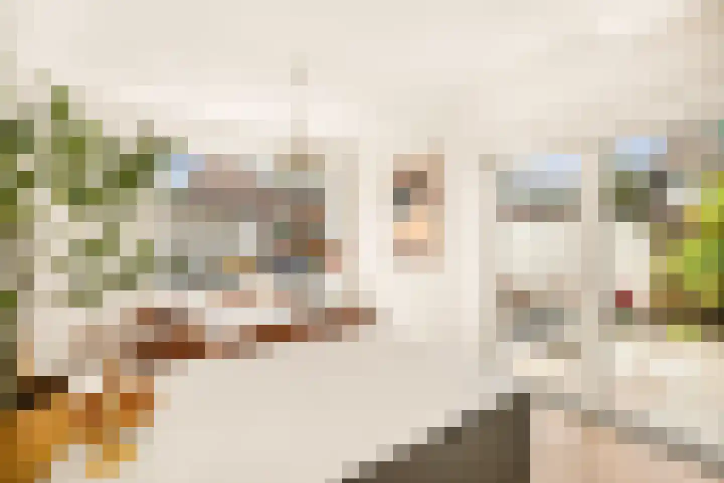 Van Koetsveldstraat 18 Haarlem thumbnail 18