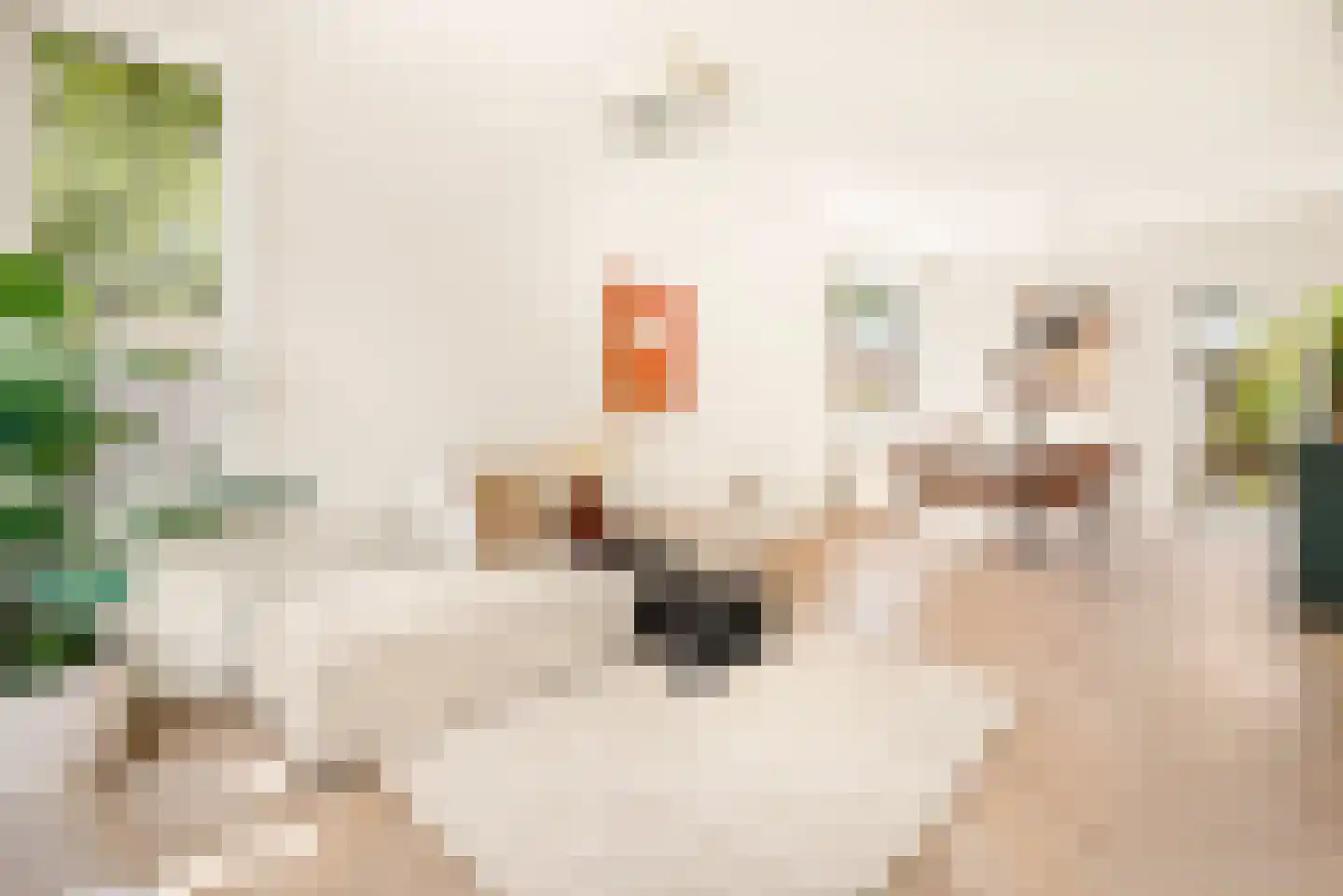 Van Koetsveldstraat 18 Haarlem thumbnail 5