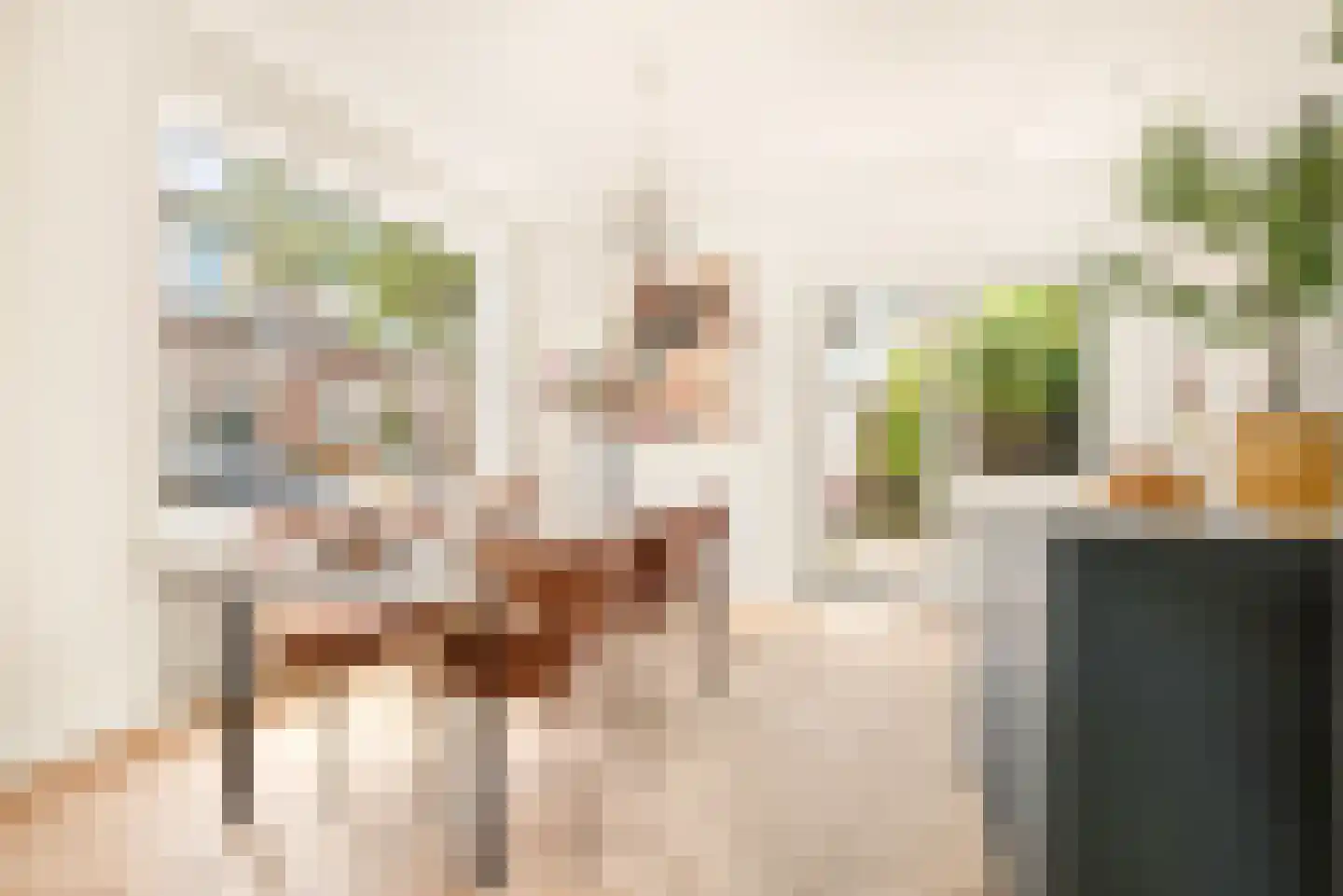 Van Koetsveldstraat 18 Haarlem thumbnail 9