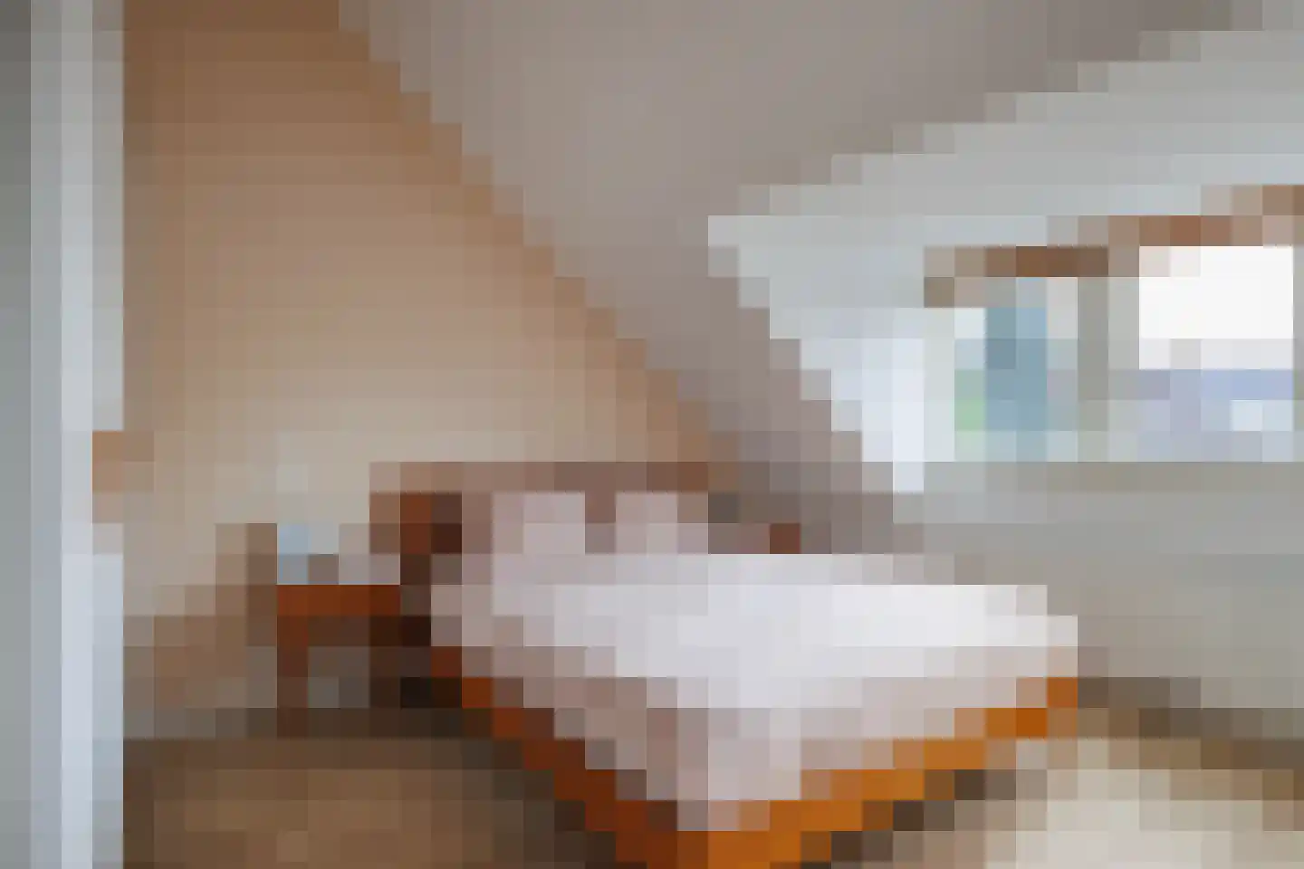 Van Koetsveldstraat 35 Utrecht thumbnail 24