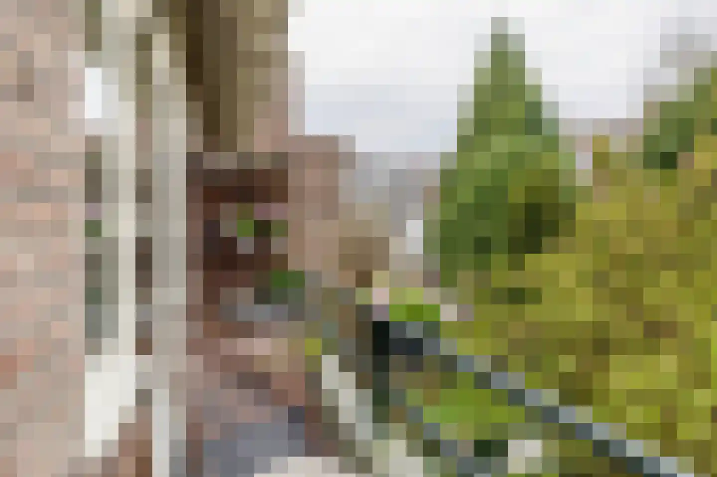 Van Koetsveldstraat 38 Utrecht thumbnail 25