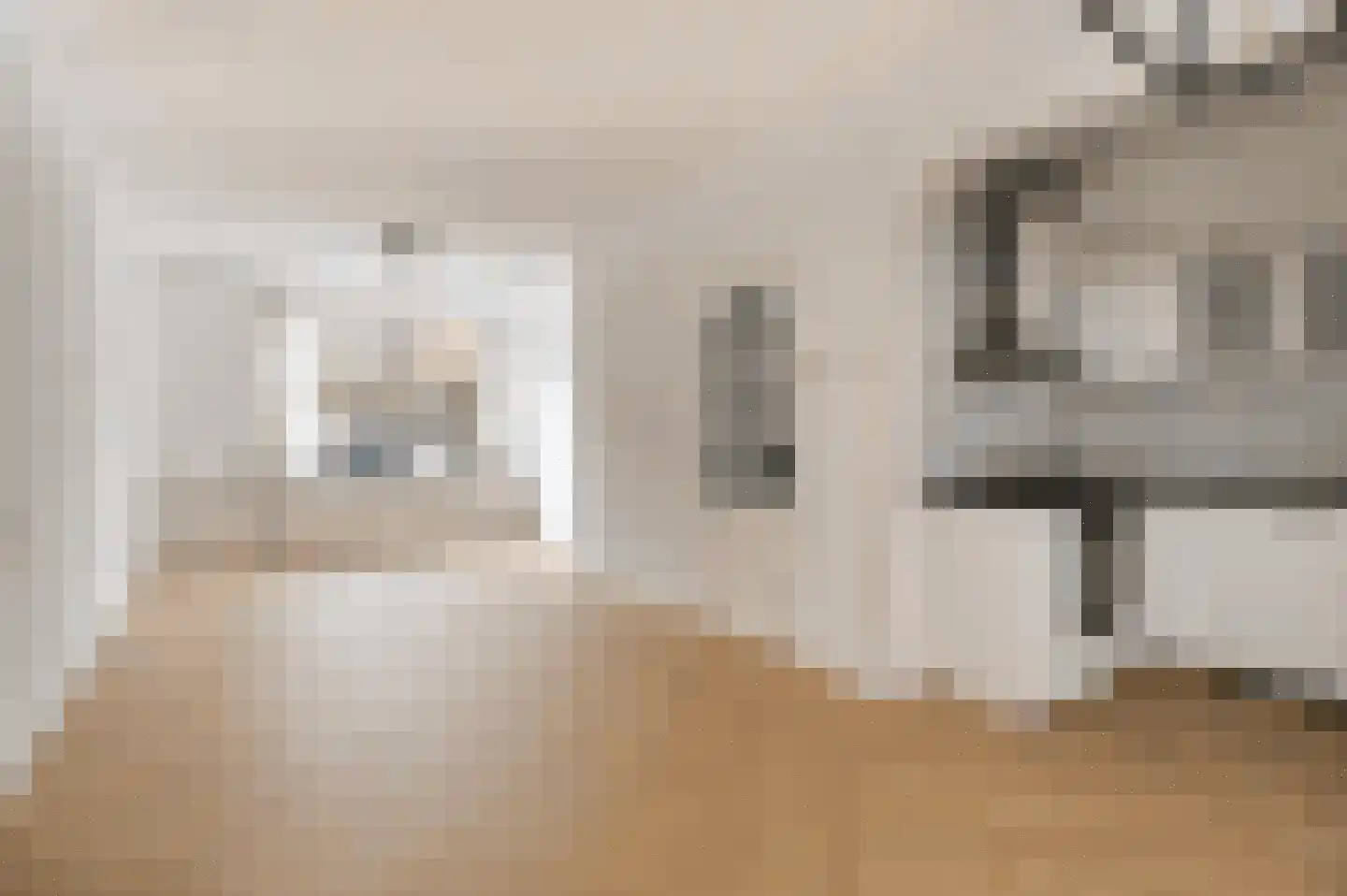 Van Koetsveldstraat 44 Den Haag thumbnail 6