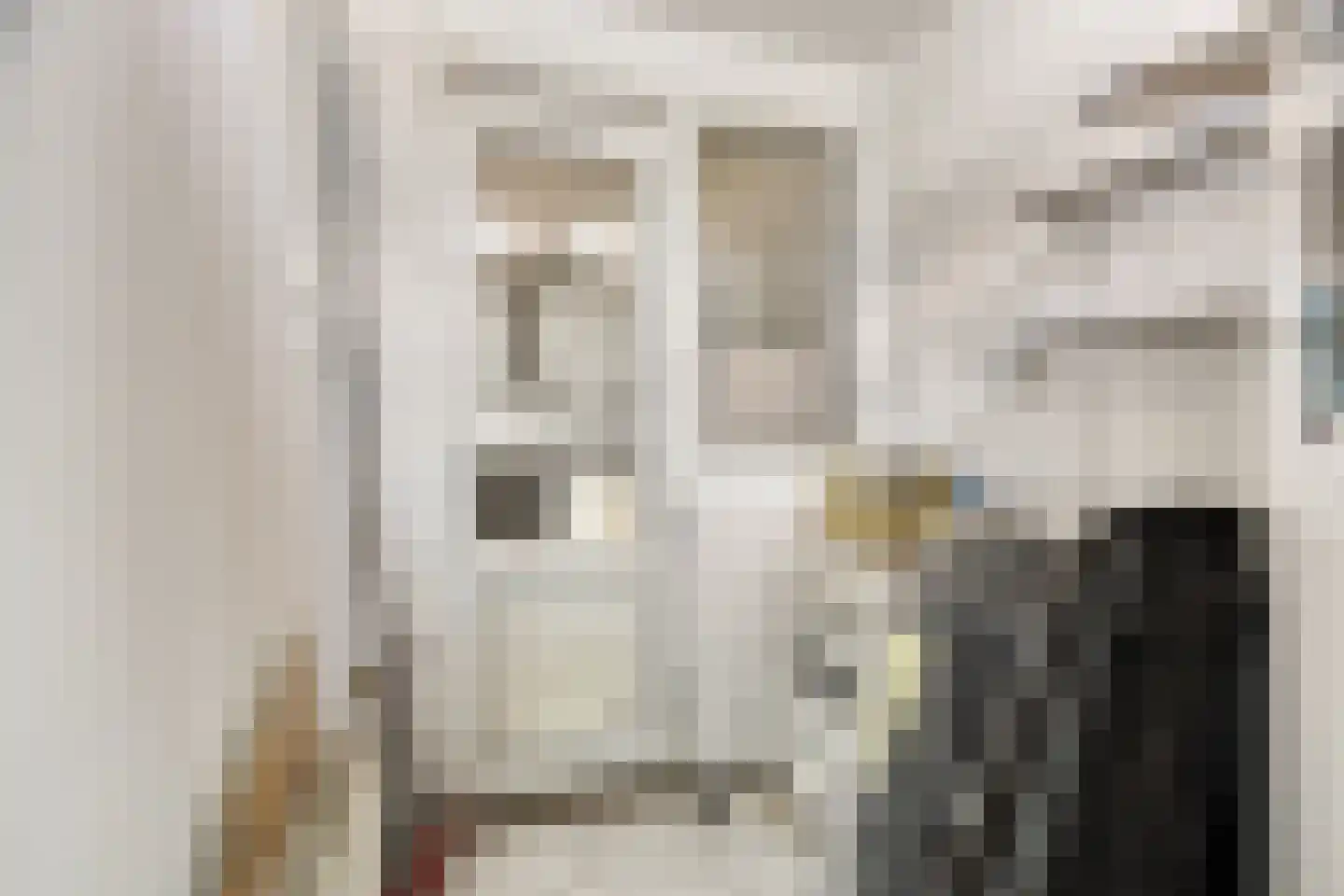 Van Koetsveldstraat 44 Den Haag thumbnail 9