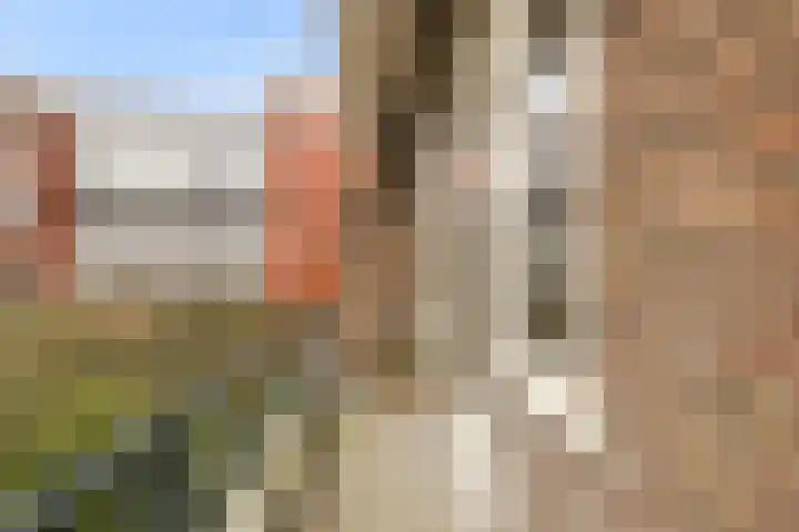Van Koetsveldstraat 72 Utrecht thumbnail 19