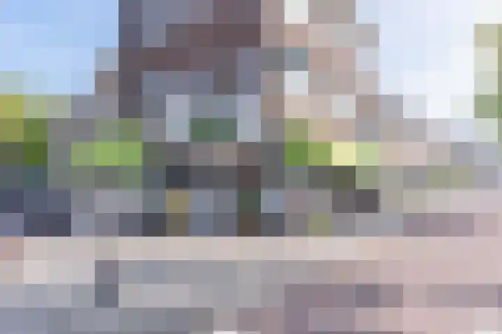 Van Koetsveldstraat 84 Utrecht thumbnail 45
