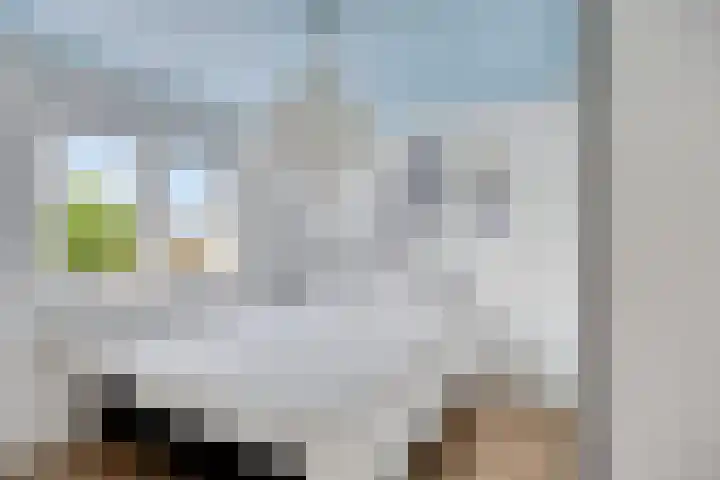 van Kollaan 29 Goor thumbnail 14