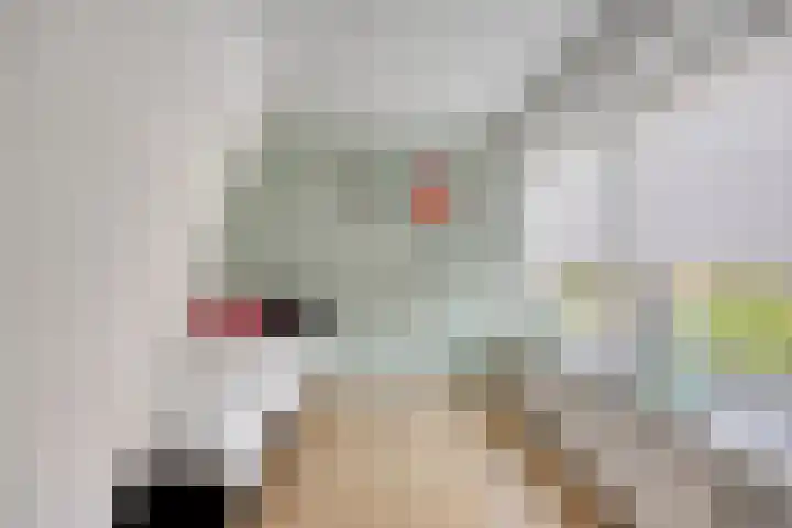 van Kollaan 29 Goor thumbnail 16