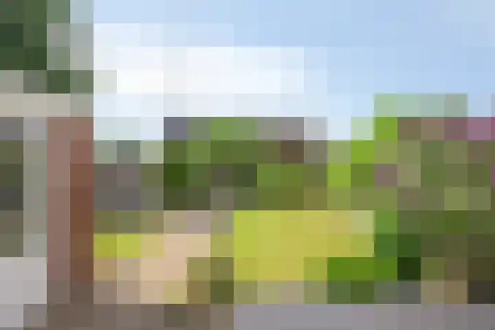 van Kollaan 29 Goor thumbnail 19