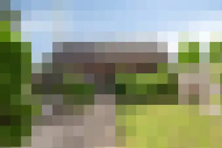 van Kollaan 29 Goor thumbnail 20