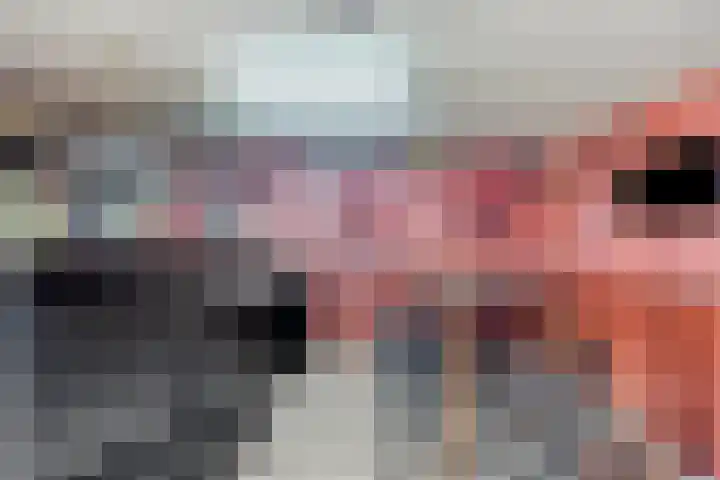 van Kollaan 29 Goor thumbnail 21