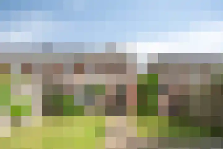 van Kollaan 29 Goor thumbnail 23