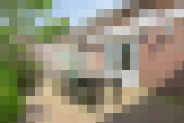 van Kollaan 29 Goor thumbnail 24