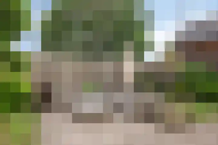 van Kollaan 29 Goor thumbnail 25