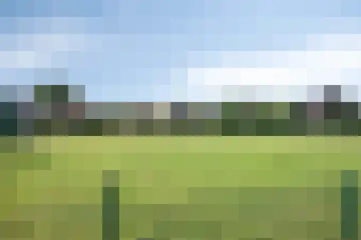 van Kollaan 29 Goor thumbnail 26