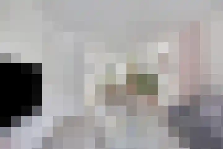 van Kollaan 29 Goor thumbnail 5
