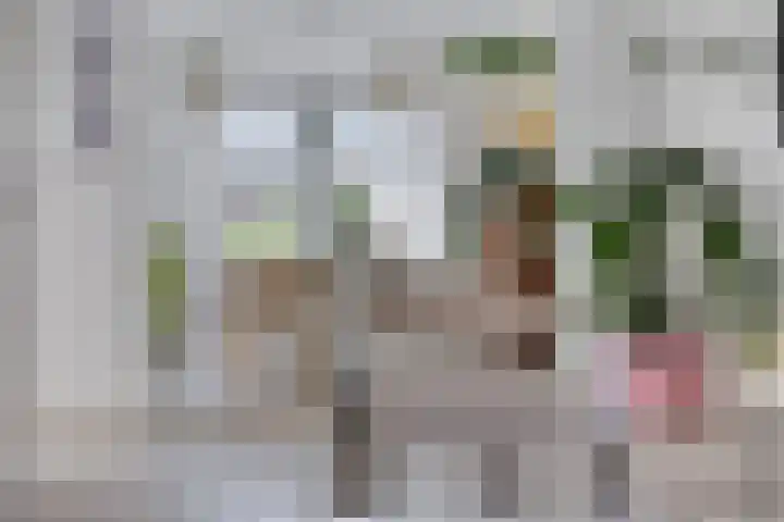 van Kollaan 29 Goor thumbnail 6