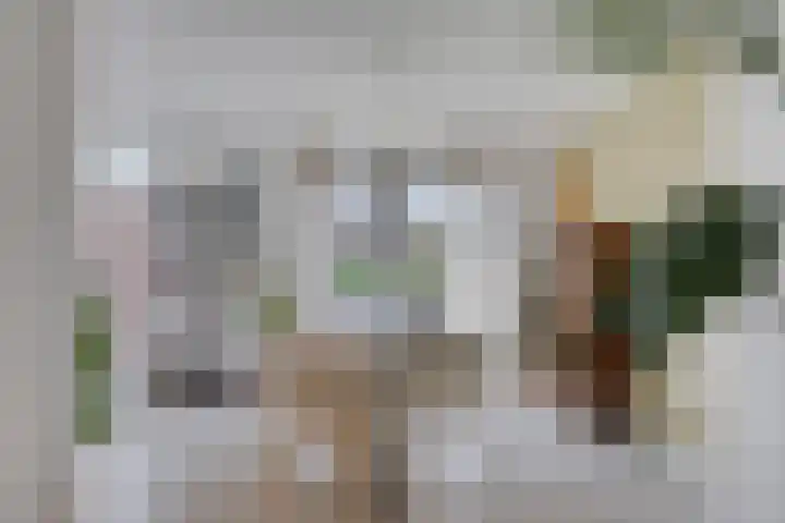 van Kollaan 29 Goor thumbnail 7