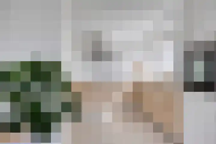 van Kollaan 29 Goor thumbnail 8