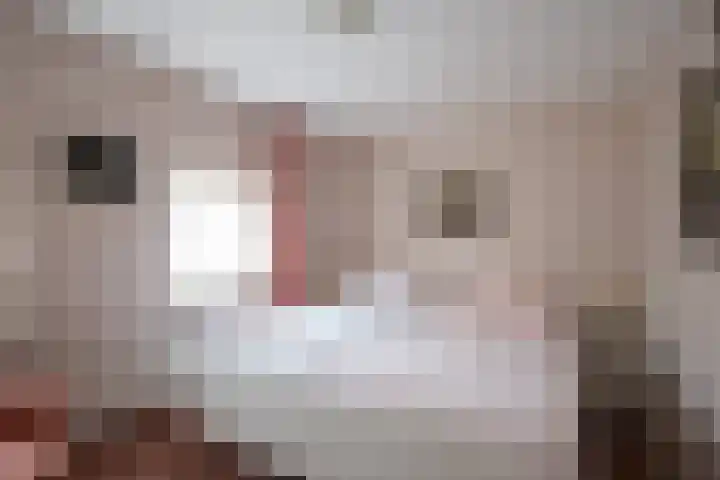 van Kollaan 4 Goor thumbnail 12