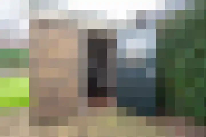 van Kollaan 4 Goor thumbnail 16