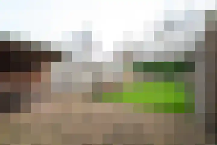 van Kollaan 4 Goor thumbnail 17
