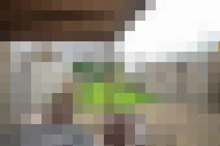 van Kollaan 4 Goor thumbnail 18