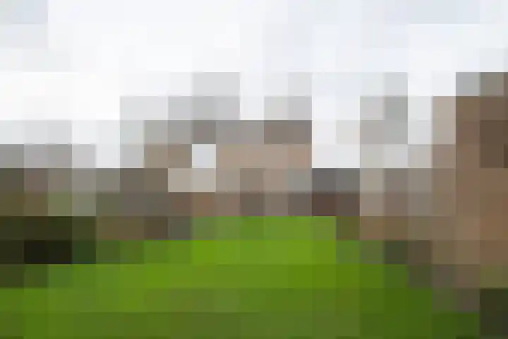 van Kollaan 4 Goor thumbnail 19