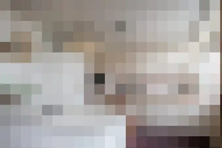 van Kollaan 4 Goor thumbnail 4