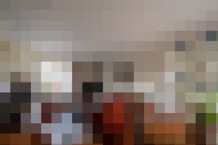 van Kollaan 4 Goor thumbnail 5