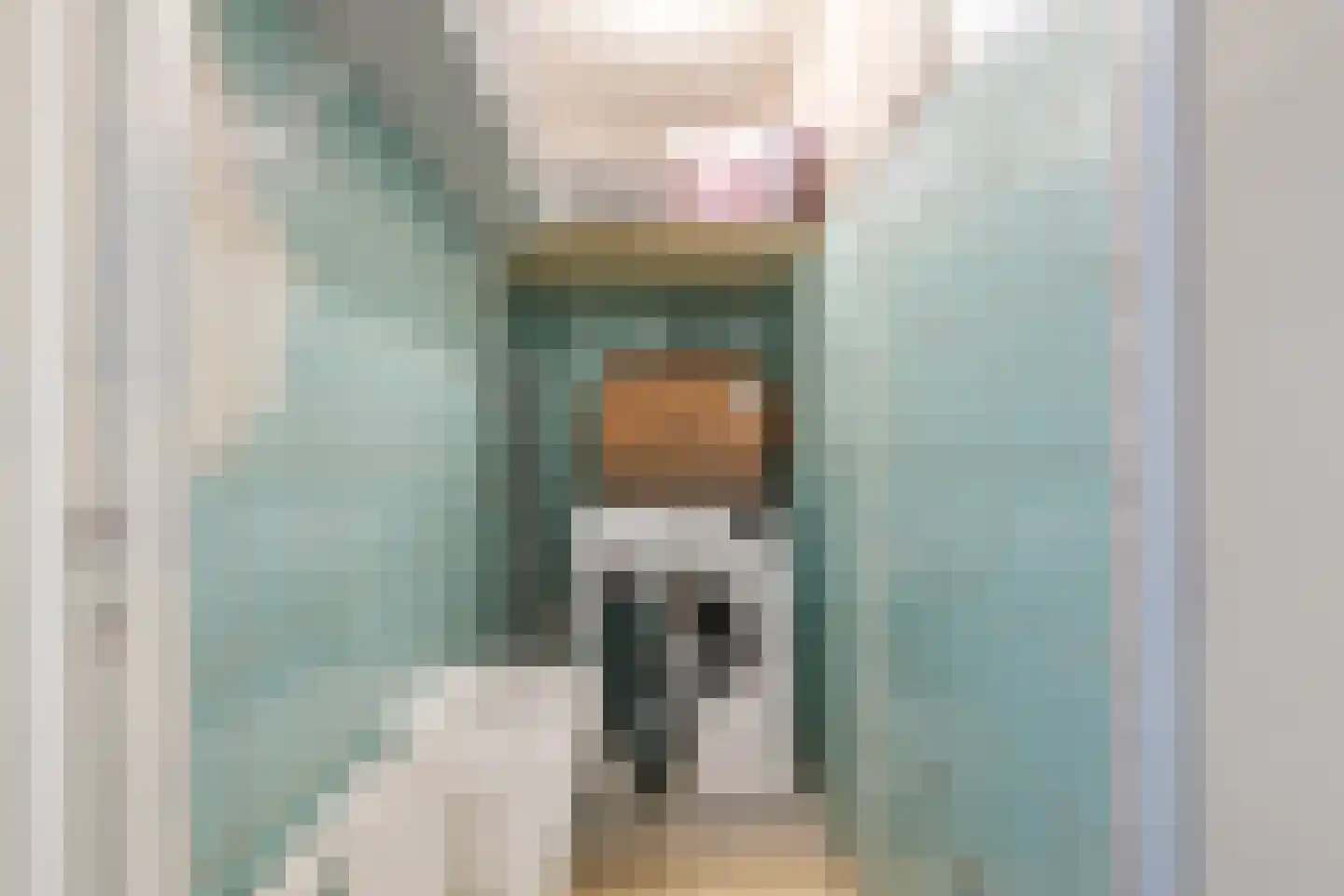 van Kolstraat 31 Zutphen thumbnail 11