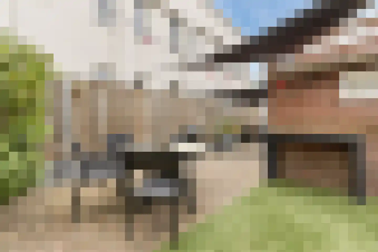Van Konijnenburgweg 26 Bergen op Zoom thumbnail 31