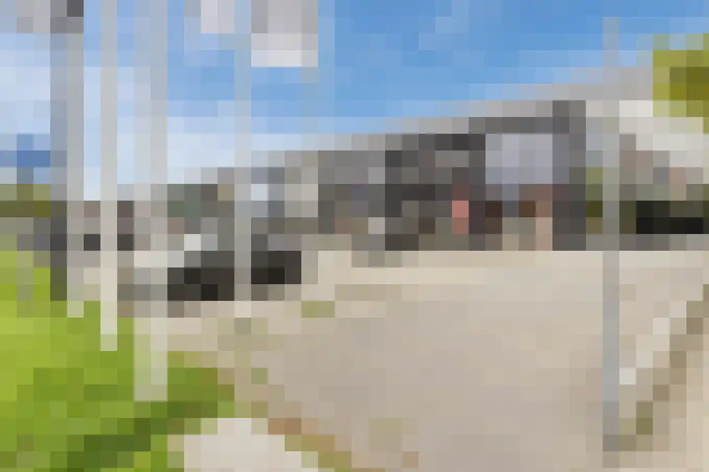 Van Konijnenburgweg 26 Bergen op Zoom thumbnail 33
