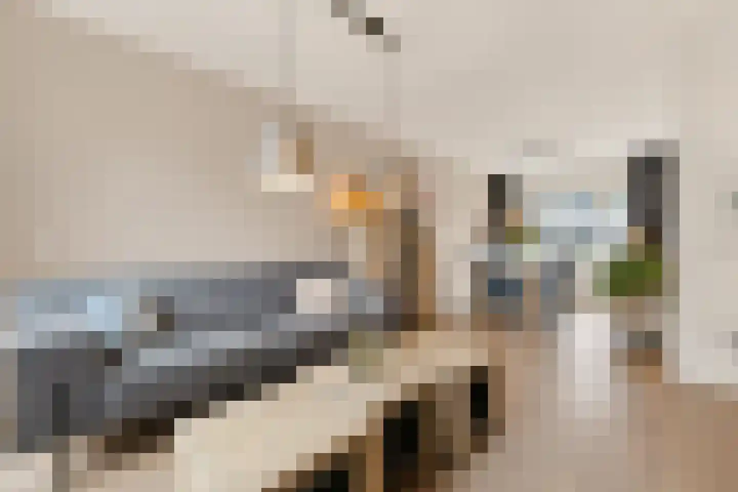 Van Konijnenburgweg 26 Bergen op Zoom thumbnail 7
