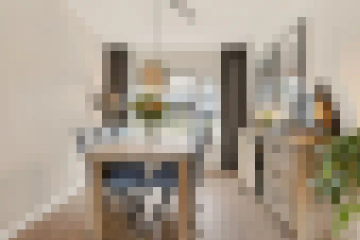 Van Konijnenburgweg 26 Bergen op Zoom thumbnail 8