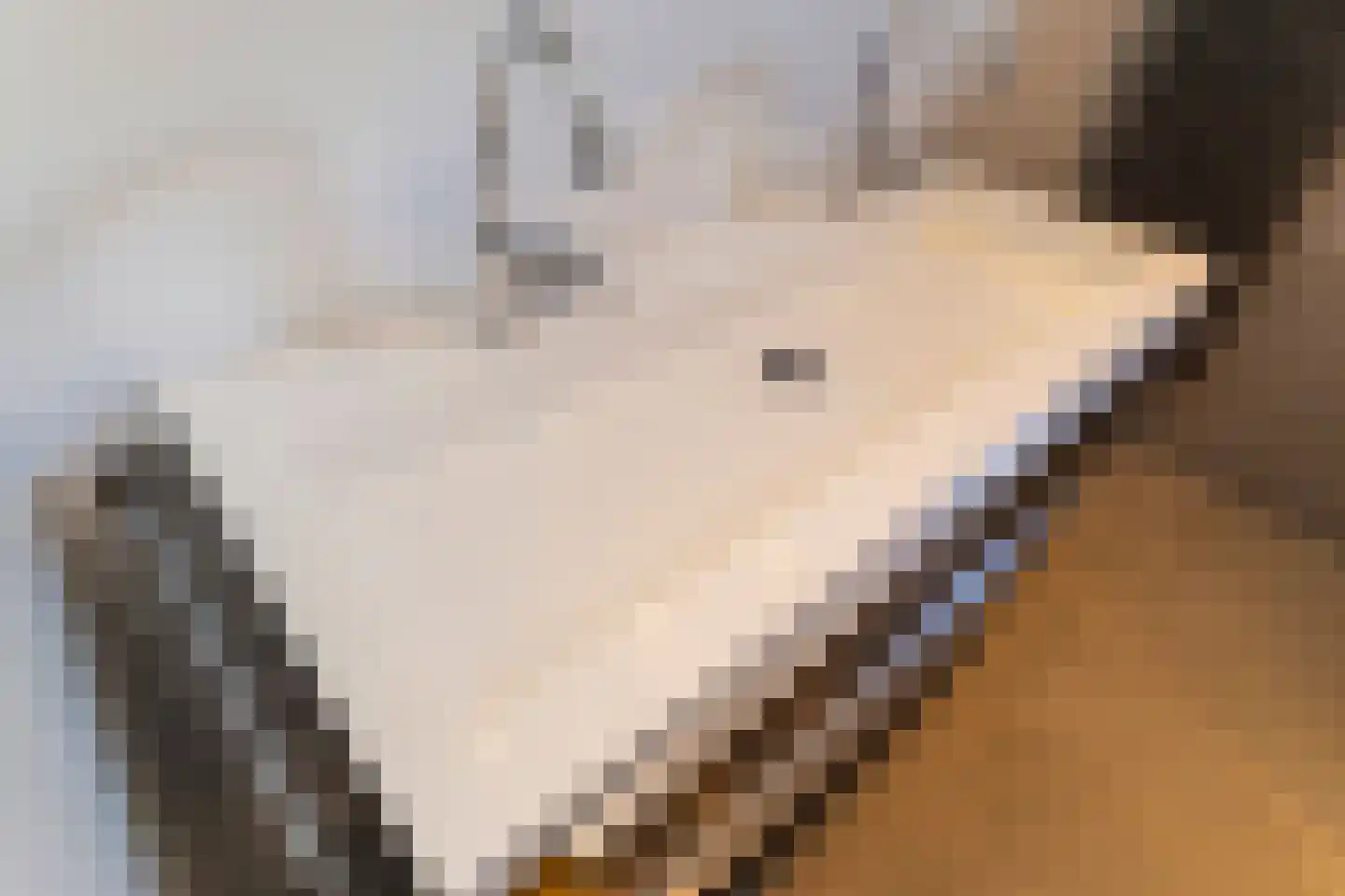 Van Koppenweg 30 Naaldwijk thumbnail 23
