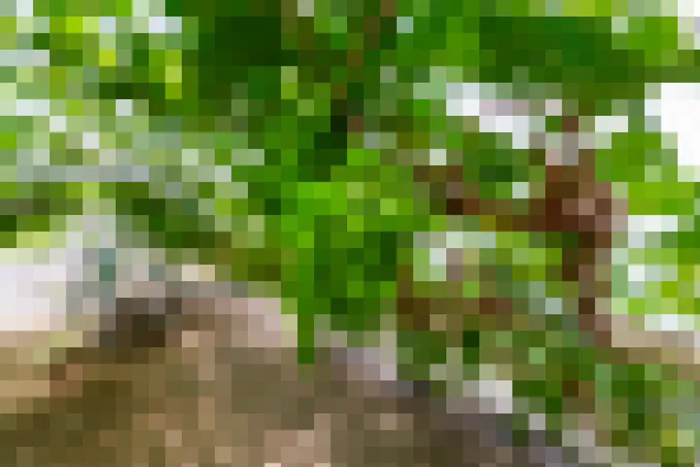Van Koppenweg 30 Naaldwijk thumbnail 30