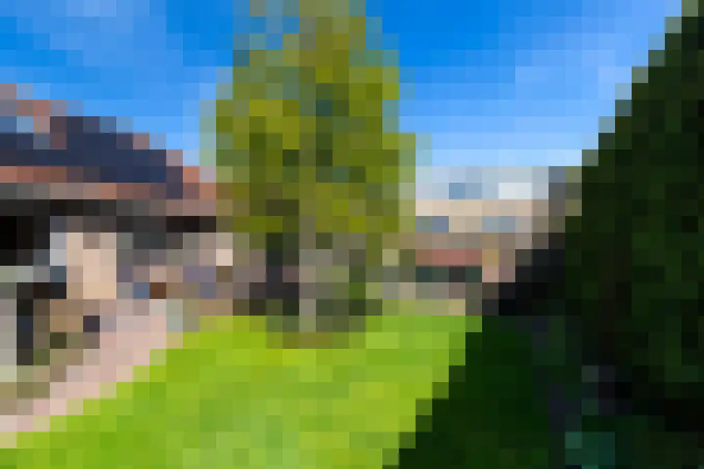 Van Koppenweg 30 Naaldwijk thumbnail 35