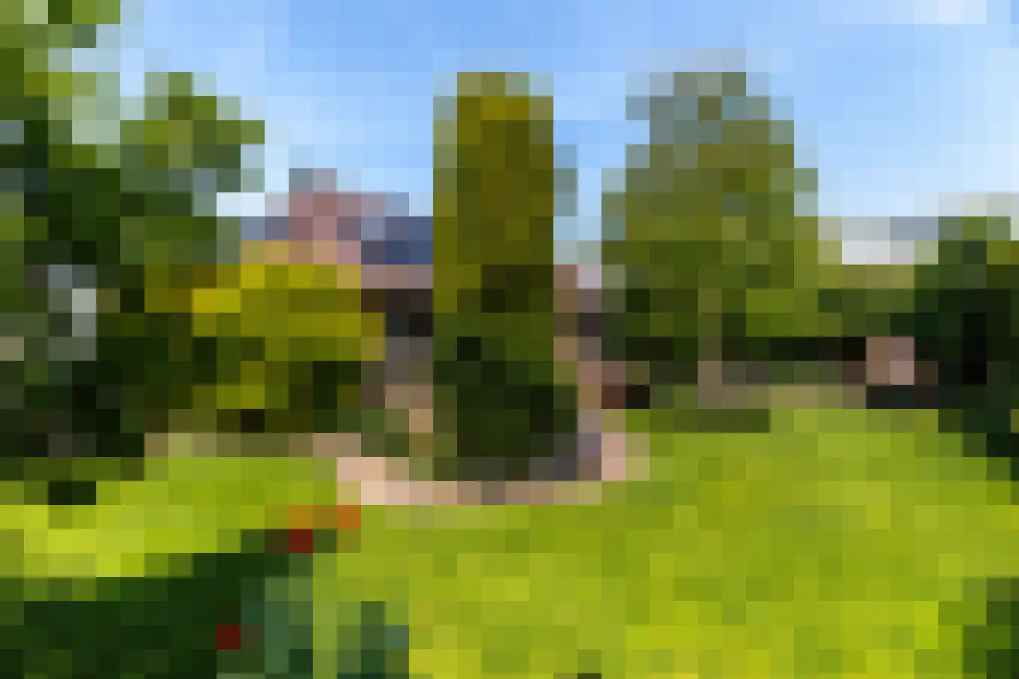 Van Koppenweg 30 Naaldwijk thumbnail 53